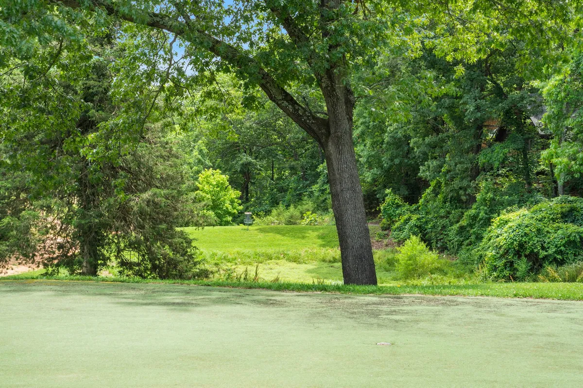 A large, mature tree stands on an open, grassy lawn surrounded by lush greenery, creating a serene environment ideal for picnicking, birdwatching, or playing with pets.